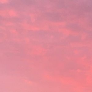 Meet your Posher, Hiba